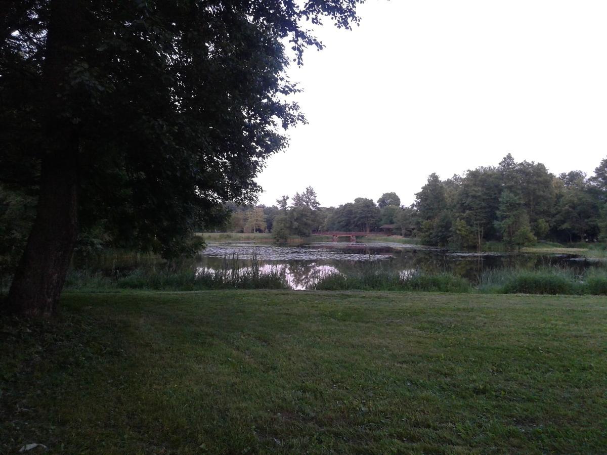 Hostal Cztery Pory Roku Białowieża Exterior foto